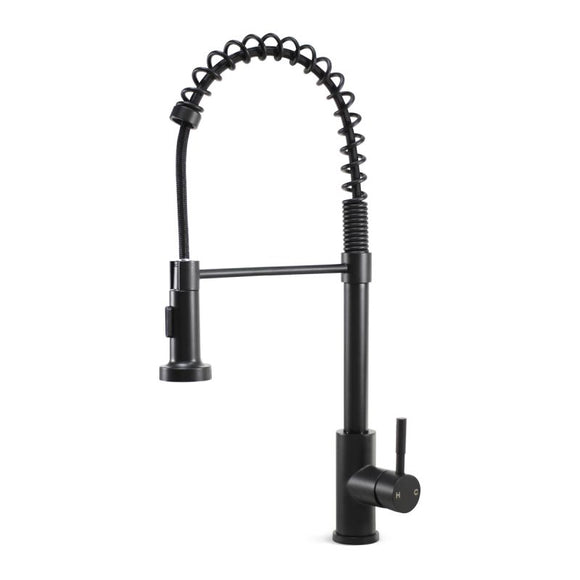 Plumb Tech Single Handle Pulldown Sprayer Kitchen Faucet