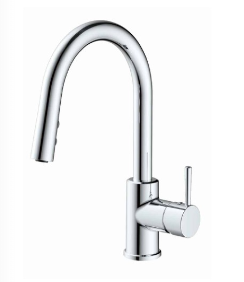 Everflow Baldor Arco Kitchen Pull Down Faucet
