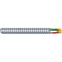 ACT Armored Cable, 14/3, 25-Ft.