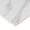 MSI Statuary Porcelain Tile